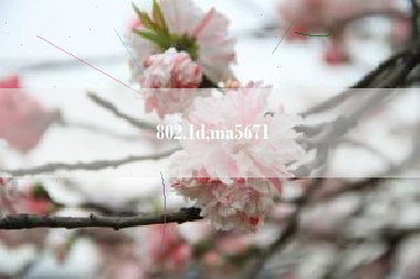 802.1d,ma5671