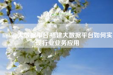 hadoop大数据平台,搭建大数据平台如何实现行业业务应用