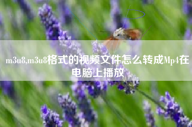 m3u8,m3u8格式的视频文件怎么转成Mp4在电脑上播放