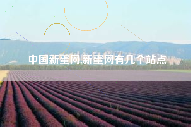 中国新蛋网,新蛋网有几个站点