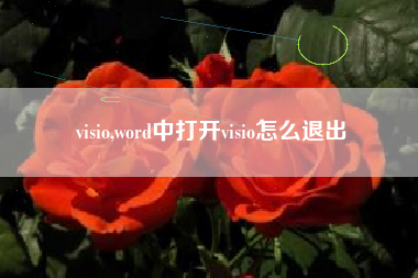 visio,word中打开visio怎么退出
