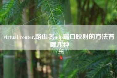 virtual router,路由器udp端口映射的方法有哪几种