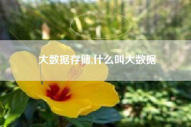 大数据存储,什么叫大数据