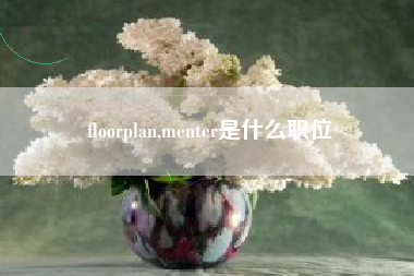 floorplan,menter是什么职位