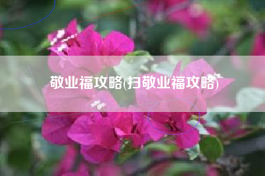 敬业福攻略(扫敬业福攻略)