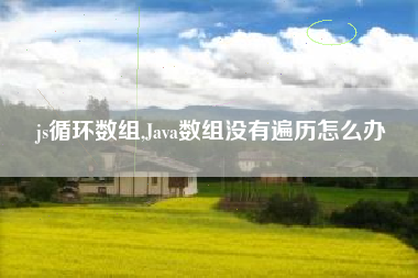 js循环数组,Java数组没有遍历怎么办