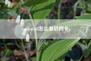 radhat(63怎么重启网卡)