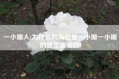 一小撮人(为什么刘海总是一小撮一小撮的感觉油油的)