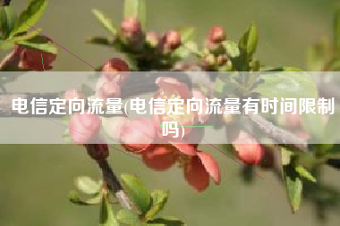 电信定向流量(电信定向流量有时间限制吗)