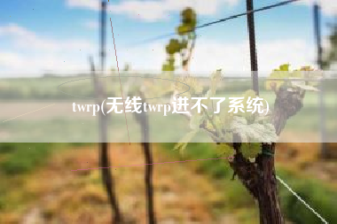 twrp(无线twrp进不了系统)