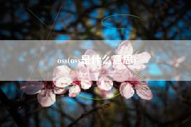 oss(oss是什么意思)