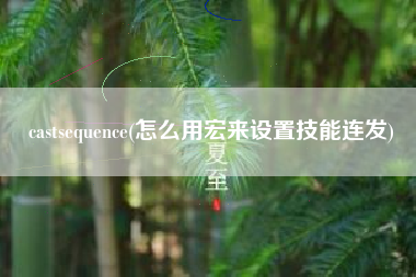 castsequence(怎么用宏来设置技能连发)