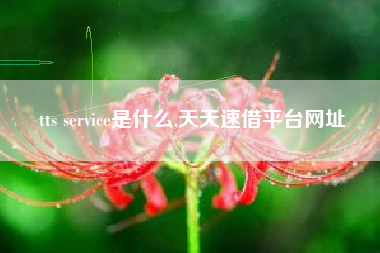 tts service是什么,天天速借平台网址