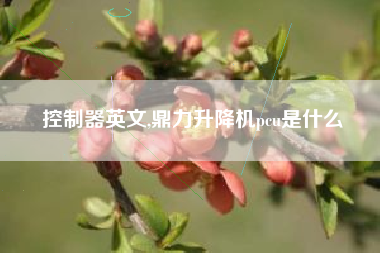控制器英文,鼎力升降机pcu是什么