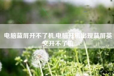 电脑蓝屏开不了机,电脑开机出现蓝屏英文开不了机