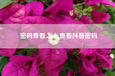 密码查看,怎么查看抖音密码