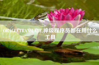 ORACLETRANSLATE,神级程序员都在用什么工具