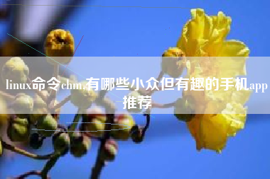 linux命令chm,有哪些小众但有趣的手机app推荐
