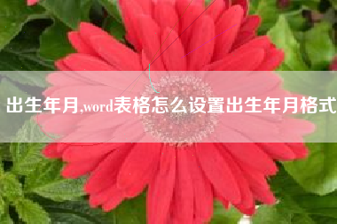 出生年月,word表格怎么设置出生年月格式