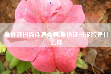 身份证扫描件怎么弄,身份证扫描版是什么样