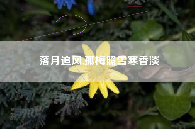 落月追风,孤梅照雪寒香淡