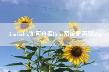 linuxecho,如何查看linux系统是否禁ping