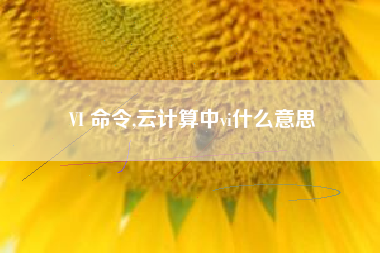 VI 命令,云计算中vi什么意思