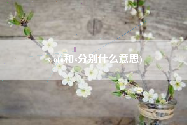 s o(o和s分别什么意思)