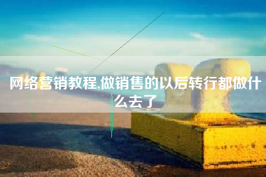 网络营销教程,做销售的以后转行都做什么去了