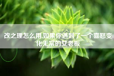 改之理怎么用,如果你遇到了一个喜怒变化无常的女老板