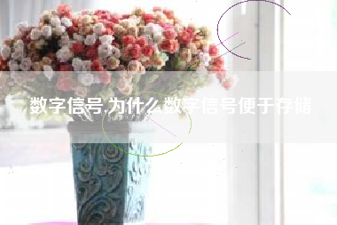 数字信号,为什么数字信号便于存储