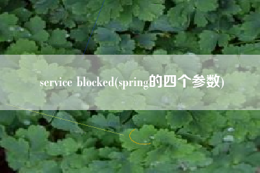 service blocked(spring的四个参数)