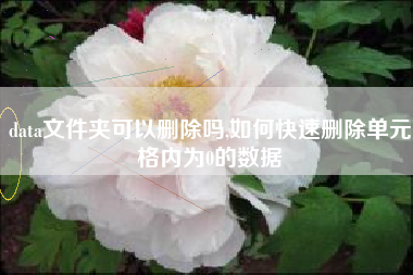 data文件夹可以删除吗,如何快速删除单元格内为0的数据