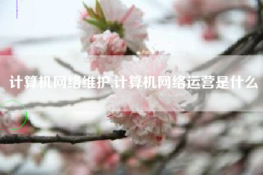 计算机网络维护,计算机网络运营是什么