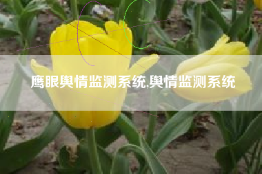 鹰眼舆情监测系统,舆情监测系统