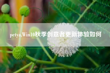 petya,Win10秋季创意者更新体验如何
