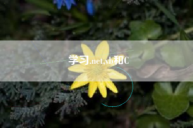 学习.net,vb和C