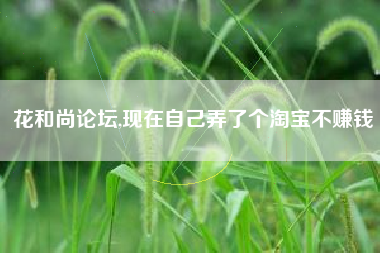 花和尚论坛,现在自己弄了个淘宝不赚钱
