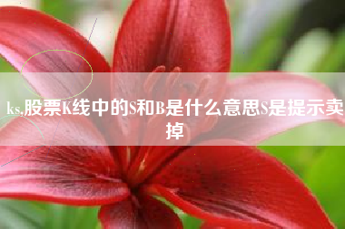 ks,股票K线中的S和B是什么意思S是提示卖掉