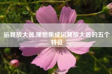 运算放大器,理想集成运算放大器的五个特征