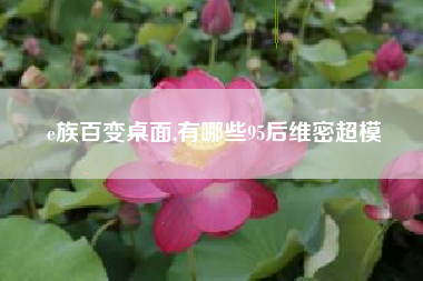 e族百变桌面,有哪些95后维密超模