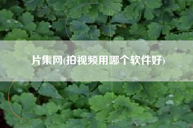 片集网(拍视频用哪个软件好)