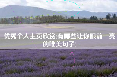 优秀个人主页欣赏(有哪些让你眼前一亮的唯美句子)