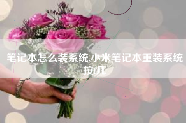 笔记本怎么装系统,小米笔记本重装系统按f几