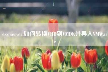 esx server,如何转换VHD到VMDK并导入VMWare