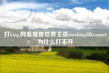 打king,网易魔兽世界主页wwwking58kenonet为什么打不开