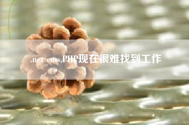 .net cms,PHP现在很难找到工作