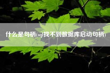 什么是句柄(sql找不到数据库启动句柄)