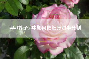 sobel算子,ai中如何把纸张对半分割