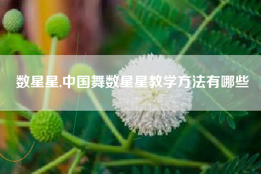 数星星,中国舞数星星教学方法有哪些